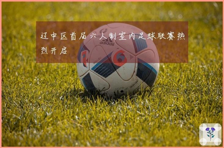 辽中区首届六人制室内足球联赛热烈开启